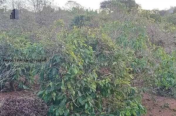 Chácara para Venda em Ouro Fino / MG no bairro RURAL