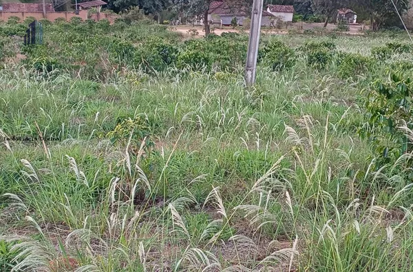 Chácara para Venda em Ouro Fino / MG no bairro RURAL