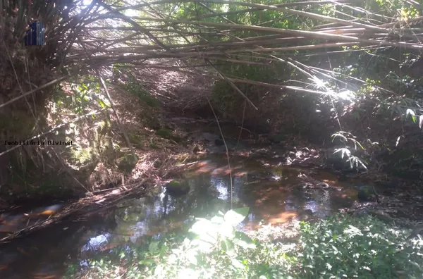 Chácara para Venda em Bueno Brandão / MG no bairro RURAL