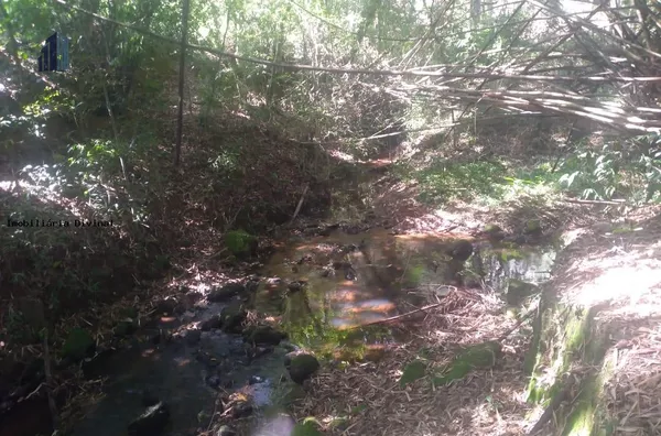 Chácara para Venda em Bueno Brandão / MG no bairro RURAL