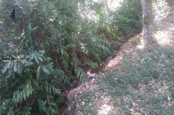 Chácara para Venda em Bueno Brandão / MG no bairro RURAL