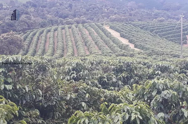 Fazenda para Venda no bairro SUL DE MINAS