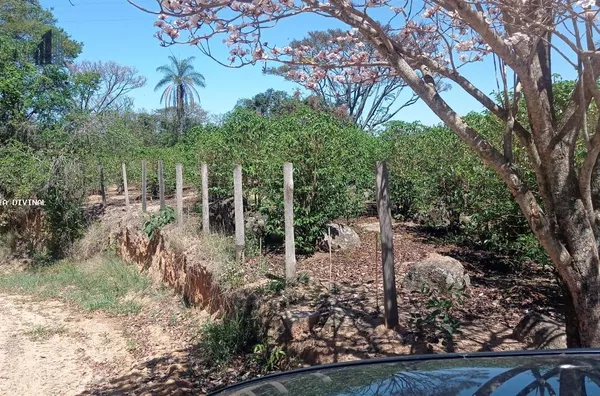 Sítio para Venda em Espírito Santo do Pinhal / SP no bairro RURAL