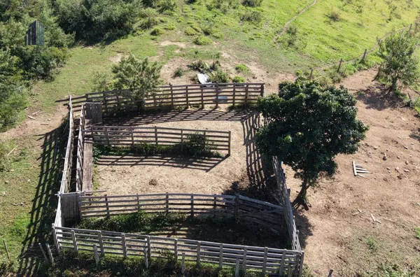 Sítio para venda,  São Bento De Caldas, Santa Rita De Caldas