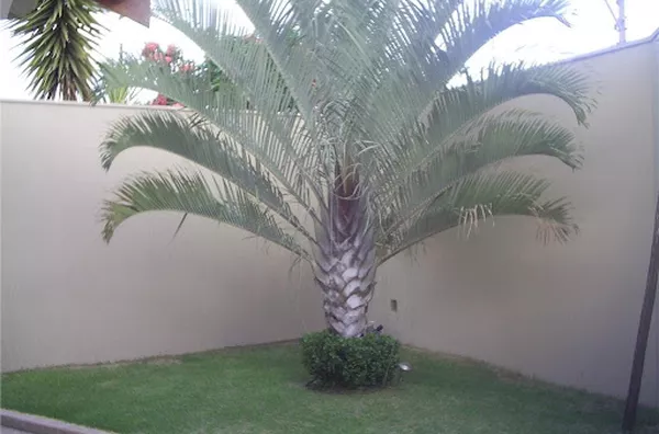 Casa para venda City Ribeirão RIBEIRAO PRETO - Foto 5