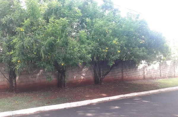 Terreno para venda Parque Anhanguera RIBEIRAO PRETO - Foto 5