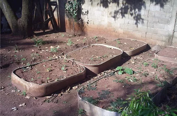 Horta