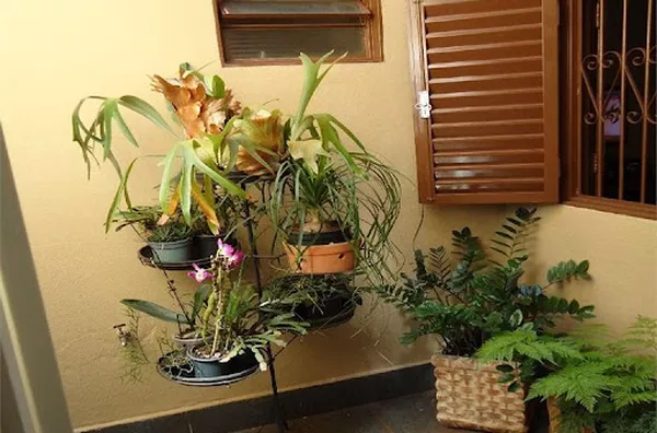 Casa para venda Parque dos Bandeirantes RIBEIRAO PRETO - Foto 5