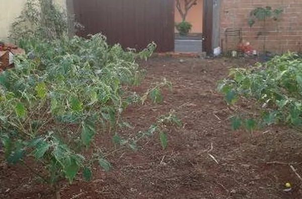 Terreno para venda Parque das Figueiras RIBEIRAO PRETO - Foto 2