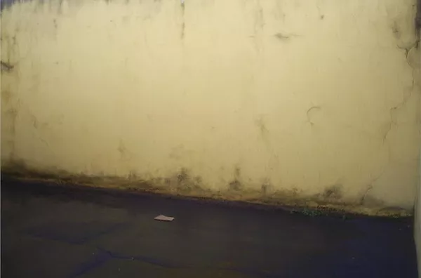 Casa para aluguel e venda Residencial e Comercial Palmares RIBEIRAO PRETO - Foto 6
