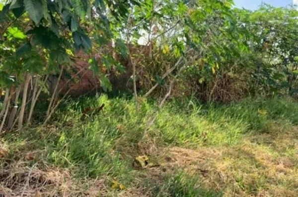 Terreno para venda Parque das Oliveiras RIBEIRAO PRETO - Foto 1