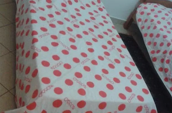 Apartamento para aluguel Jardim Palma Travassos RIBEIRAO PRETO - Foto 2