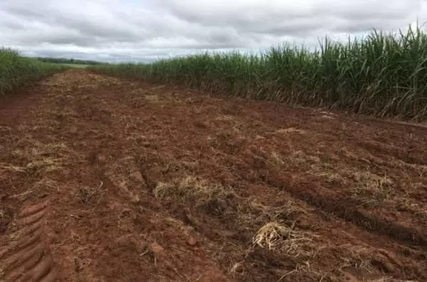 Fazenda para venda Zona Rural Mineiros - Foto 6