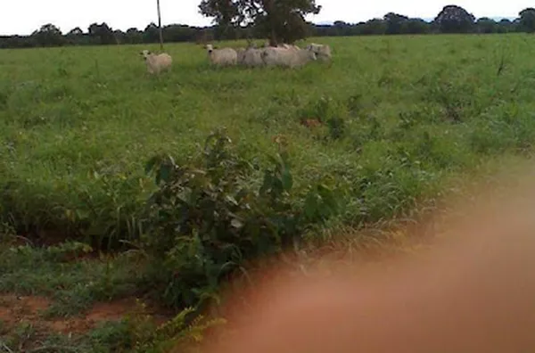 Fazenda para venda Centro Santa Rita do Araguaia - Foto 2