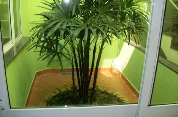 Sobrado para venda Jardim Califórnia RIBEIRAO PRETO - Foto 23