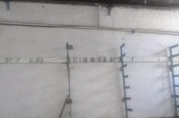 Barracão para aluguel Jardim Zara RIBEIRAO PRETO - Foto 3