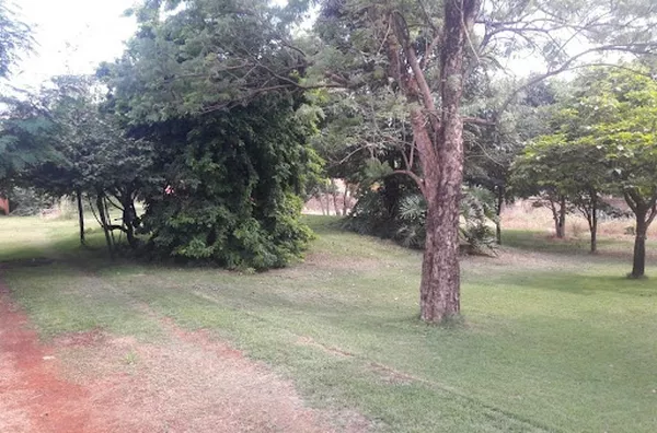 Terreno para venda Parque Anhanguera RIBEIRAO PRETO - Foto 4