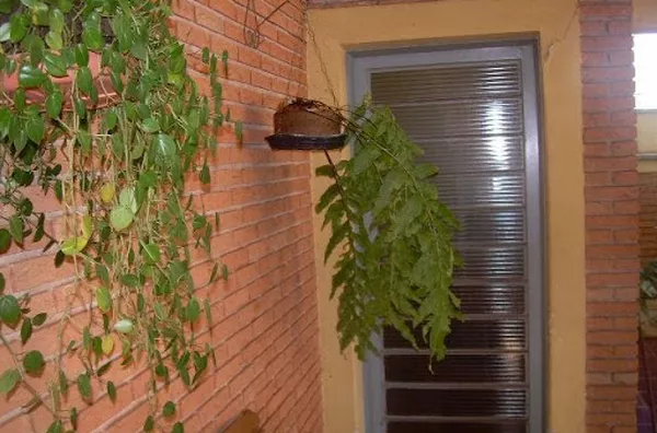Casa para venda Parque dos Bandeirantes RIBEIRAO PRETO