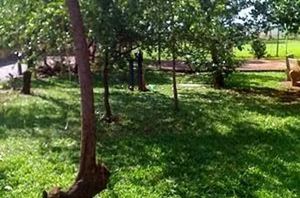 Chácara para venda Centro Jardinópolis