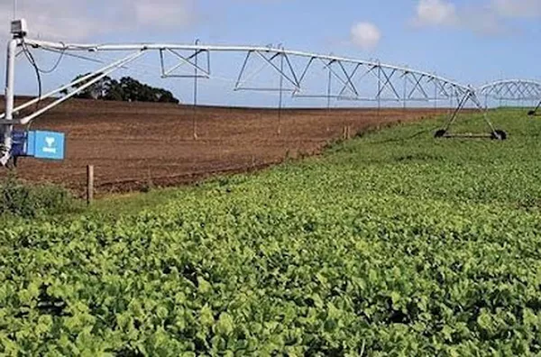 Fazenda para venda Zona Rural Paracatu - Foto 3