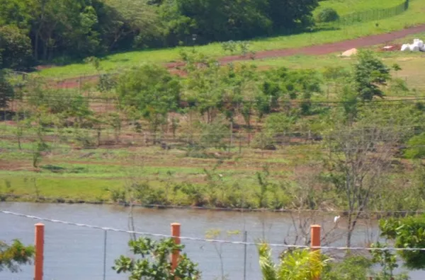Terreno para venda Bonfim Paulista RIBEIRAO PRETO - Foto 4