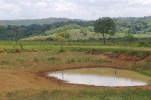 Fazenda para venda Zona Rural Uberaba - Foto 4