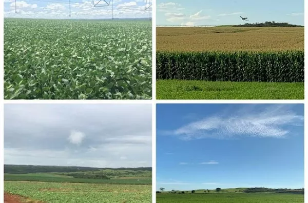 Fazenda para venda Rural Campo Alegre de Goiás - Foto 1