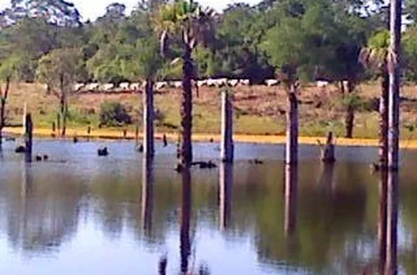 Fazenda para venda Centro Santa Rita do Araguaia - Foto 1