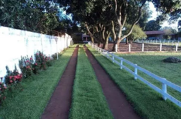 Chácara para venda Zona Rural Jardinópolis - Foto 6