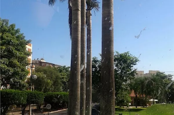 Apartamento para aluguel e venda Parque Residencial Lagoinha RIBEIRAO PRETO - Foto 5