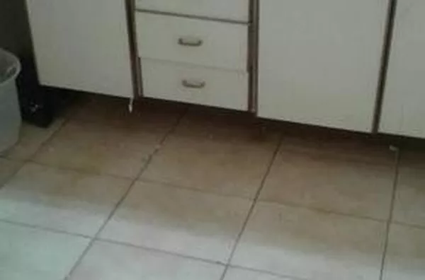 Casa para aluguel Campos Elíseos RIBEIRAO PRETO - Foto 5