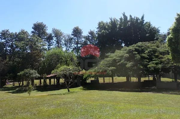 Apartamento em Parque Industrial Lagoinha  -  Ribeirão Preto - Foto 4