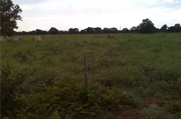 Fazenda para venda Centro Santa Rita do Araguaia - Foto 4