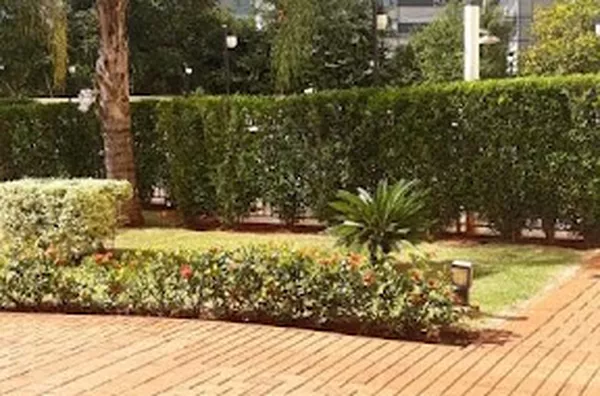 Apartamento para aluguel Nova Aliança RIBEIRAO PRETO - Foto 4