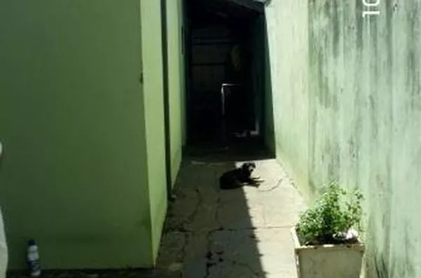 Casa para venda Jardim São José RIBEIRAO PRETO - Foto 2