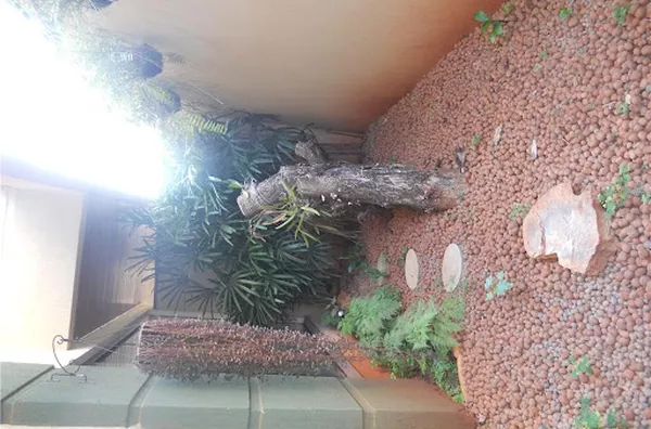 Apartamento para venda Jardim Botânico RIBEIRAO PRETO - Foto 34