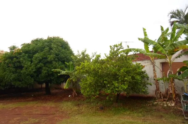 Terreno para venda Jardim Antártica RIBEIRAO PRETO - Foto 4