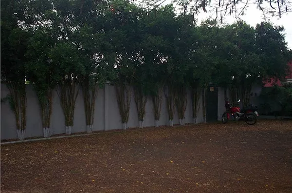 Sítio para venda Distrito Industrial Cravinhos - Foto 2