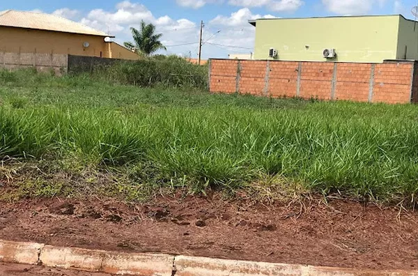 Terreno para venda Zona Rural Planura - Foto 5