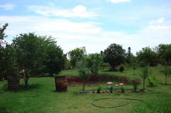 Sítio para venda Zona Rural Batatais - Foto 5