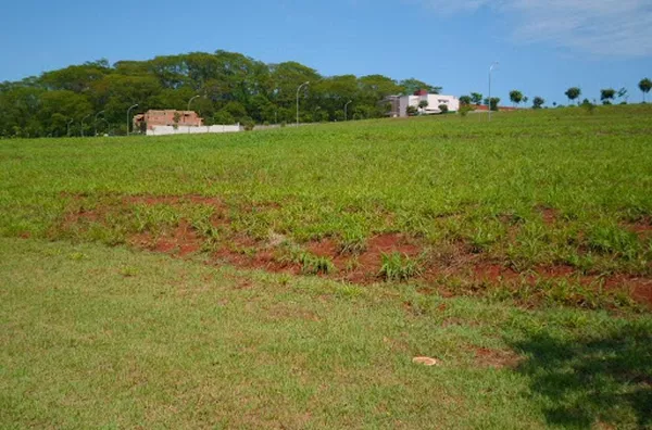 Terreno para venda Bonfim Paulista RIBEIRAO PRETO - Foto 6