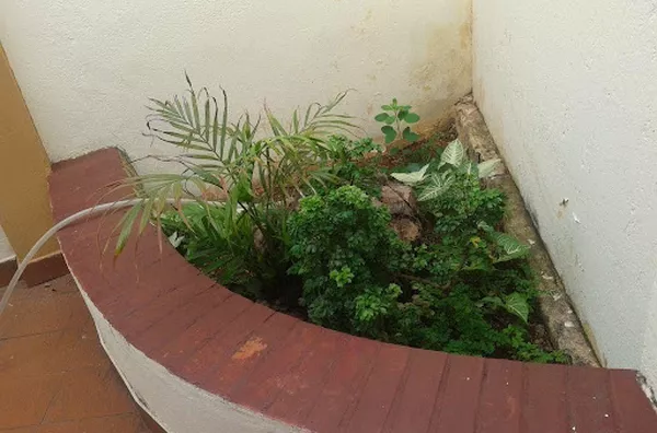 Casa para aluguel Campos Elíseos RIBEIRAO PRETO - Foto 2