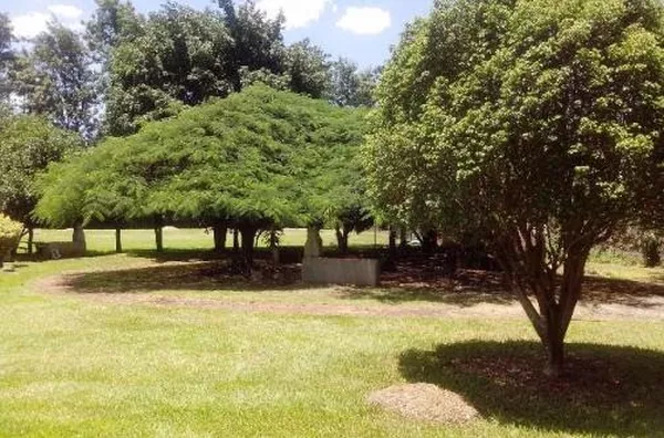 Apartamento para aluguel Parque Industrial Lagoinha RIBEIRAO PRETO