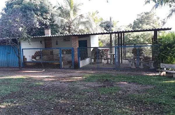 Sítio para venda Zona Rural Santa Salete - Foto 4