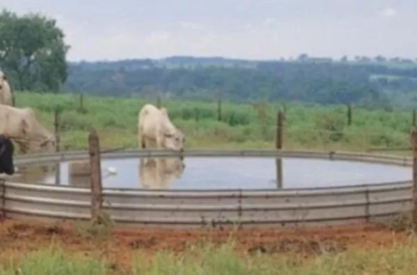 Fazenda para venda Zona Rural Paracatu - Foto 4