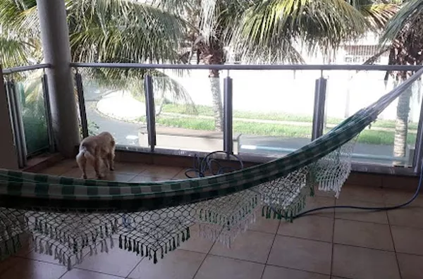 Sobrado para venda Jardim Califórnia RIBEIRAO PRETO - Foto 41