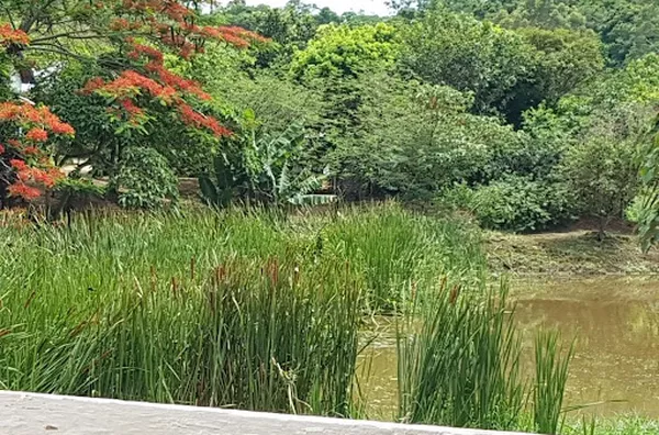 Terreno para venda Zona Rural São José do Rio Pardo - Foto 1