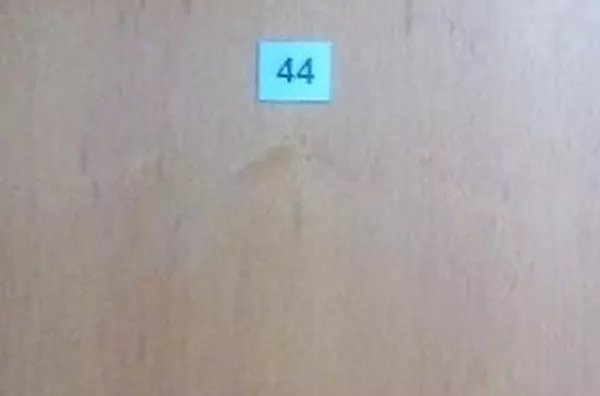 Apartamento para aluguel Vila Amélia RIBEIRAO PRETO - Foto 5