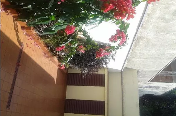 Casa em Jardim América  -  Ribeirão Preto - Foto 5