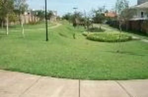 Terreno para venda Jardim Saint Gerard RIBEIRAO PRETO - Foto 1